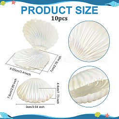 Pearlized Plastic Shell Shaped Jewelry Storage Boxes&nbsp;AJEW-WH0695-138A-02