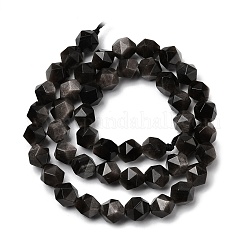 Natural Silver Obsidian Beads Strands&nbsp;G-Z119-A11-02