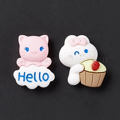 Spray Painted Resin Cabochons&nbsp;RESI-G031-21