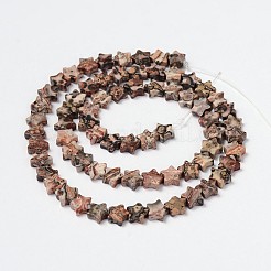 Natural Leopard Skin Beads Strands&nbsp;G-M201-27-6mm