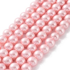 Shell Pearl Bead Strands&nbsp;BSHE-L025-06-8mm