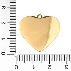 304 Stainless Steel Enamel Pendants&nbsp;STAS-Z186-12G-03