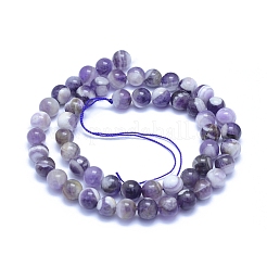 Natural Amethyst Beads Strands&nbsp;G-L552H-03B