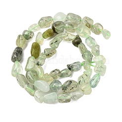 Natural Prehnite Beads Strands&nbsp;G-F521-29