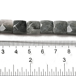 Natural Eagle Eye Stone Beads Strands&nbsp;G-C109-A15-02