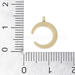 304 Stainless Steel Charms&nbsp;STAS-L022-398G