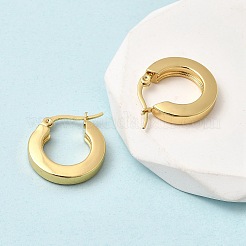 201 Stainless Steel Hoop Earrings&nbsp;EJEW-Z151-10G-02
