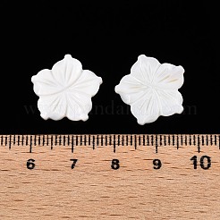 Natural Freshwater Shell Carved Cabochons&nbsp;SSHEL-T017-03