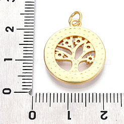 Brass Micro Pave Clear Cubic Zirconia Pendants&nbsp;KK-N268-76G