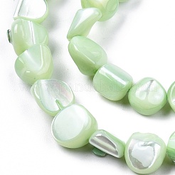 Natural Trochid Shell/Trochus Shell Beads Strands&nbsp;SSHEL-N032-49-A04