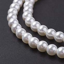 Shell Pearl Bead Strands&nbsp;X-BSHE-P023-3mm