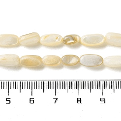 Natural Trochus Shell Beads Strands&nbsp;SHEL-G020-03B