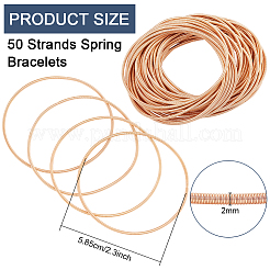 50 Strands Spring Bracelets&nbsp;TWIR-BC0001-53
