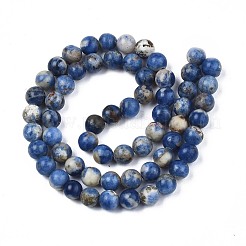Natural Sodalite Beads Strands&nbsp;G-S279-10-6mm