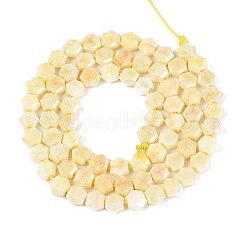 Anti-Tarnish Electroplate Glass Beads Strands&nbsp;GLAA-T028-6mm-02F