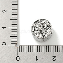 304 Stainless Steel European Beads&nbsp;STAS-U005-06P