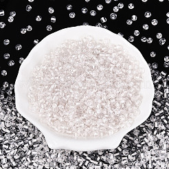 Glass Seed Beads&nbsp;SEED-T007-10B