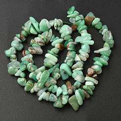 Natural Chrysoprase Beads Strands&nbsp;G-G0004-D01-A