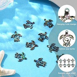 10Pcs Natural Paua Shell Connector Charms&nbsp;SHEL-YW0001-16
