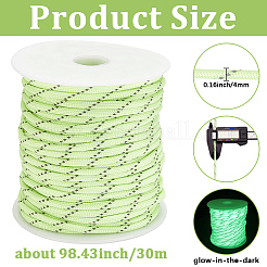 30M Luminous Glow in the Dark Polyester Cord&nbsp;AJEW-SP0004-86C