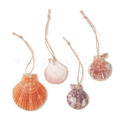 Electroplate Multicolor Sea Shell Pendant Decorations&nbsp;HJEW-JM04622