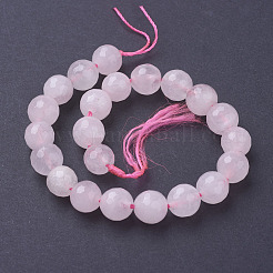 Natural Rose Quartz Beads Strands&nbsp;X-G-G099-F8mm-15