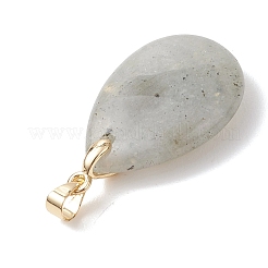 Natural Labradorite Pendants&nbsp;PALLOY-JF04953