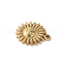 304 Stainless Steel Charms&nbsp;X-STAS-E548-06G