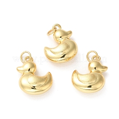 Rack Plating Brass Pendants&nbsp;KK-D074-28G
