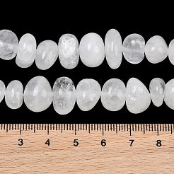 Natural Quartz Crystal Beads Strands&nbsp;GG-CBACF26-A01-01