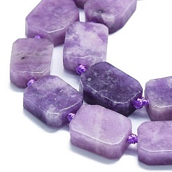 Natural Lepidolite/Purple Mica Stone Beads Strands&nbsp;G-K245-J05-01