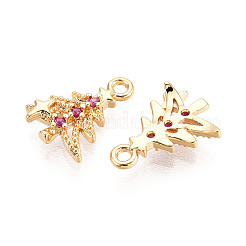 Brass Micro Pave Cubic Zirconia Charms&nbsp;KK-N263-145C-G