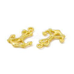 Rack Plating Alloy Pendants&nbsp;FIND-G045-19MG