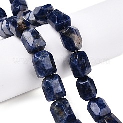 Natural Sodalite Beads Strands&nbsp;G-N342-145