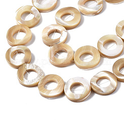Natural Trochid Shell/Trochus Shell Beads Strands&nbsp;SSHEL-N032-23A-01