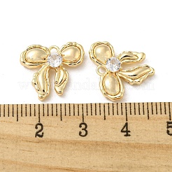 Rack Plating Brass Pendants&nbsp;KK-H460-57G