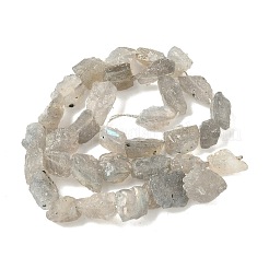 Raw Rough Natural Labradorite Beads Strands&nbsp;G-M453-D14
