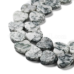 Natural Tree Agate Beads Strands&nbsp;G-G084-B12-02