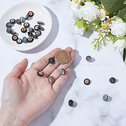 30Pcs 2 Colors 1-Hole Alloy Shell Shank Buttons&nbsp;BUTT-NB0002-09A