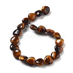 Natural Tiger Eye Beads Strands&nbsp;G-P528-C02-01