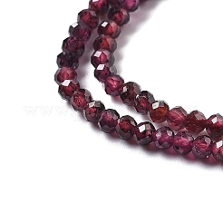 Natural Garnet Beads Strands&nbsp;G-H079-A01-02B