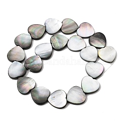 Natural Black Lip Shell Beads Strands&nbsp;BSHE-D300-06C