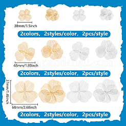 24Pcs 12 Styles Iron Bead Caps&nbsp;FIND-PH0026-35