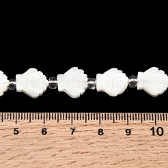 Natural Trochid Shell/Trochus Shell Beads Strands&nbsp;BSHE-A002-06