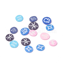 Handmade Polymer Clay Cabochons&nbsp;CLAY-I010-05