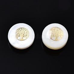 Freshwater Shell Beads&nbsp;SHEL-T018-20