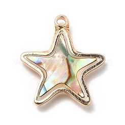 Brass Enamel Pendants&nbsp;KK-K252-10G-09