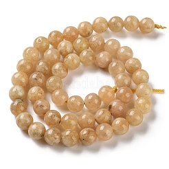Natural Yellow Garnet Beads Strands&nbsp;G-Z129-C01-8mm-01