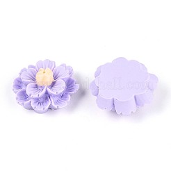 Resin Decoden Cabochons&nbsp;CRES-T025-04D