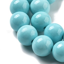 Synthetic Turquoise Beads Strands&nbsp;G-A255-A04-01B